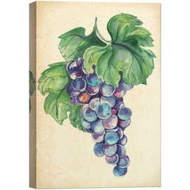 SIGNWIN Canvas Wall Art Purple Black Grapes with Branches and Leaves Fruit Plants Illustrations Impressionism Vintage Relax/Calm for Living Room, Bedroom, Office - 16x24 inches
