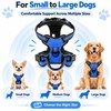 Adjustable Reflective Dog Harness for Daily Walks – Soft Breathable