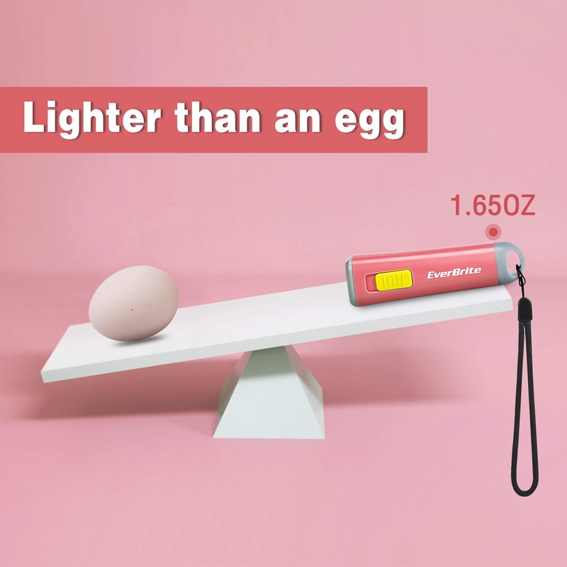 EverBrite Kids Flashlight, Mini LED Flashlight, Plastic Torch Use for