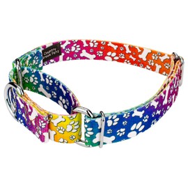 Country Brook Petz - Trippy Doggo Martingale Dog Collar & Leash - Medium