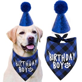 Dog Birthday Party Supplies,Pet Birthday Hat and Boy Doggy Birthday Bandana Set