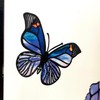 Blue Iris and Butterfly Stained Glass Suncatcher Window Panel |