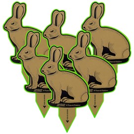GoSports Outdoors Rabbit Terrain Targets, Reactive Shooting Range Targets with Neon Green VeriShot Confirmation, Great for Small Calibers