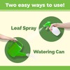 Fern Fertilizer for All Ferns and Mosses, Liquid Plant Food