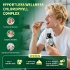 LUKAREE Chlorophyll Herbal Complex Capsules, 60 Vegan Energy & Immune