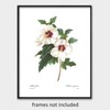 Rose of Sharon Art (White Wall Decor, Botanical Hibiscus Flower