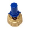 Brass Vacuum Relief Valve - 1-1/2", 370 CFM (1035-0000 RIV)