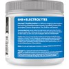 Ketologic- Polvo de Electrolito Keto (Frambuesa Azul) 30 Porciones Mezcla