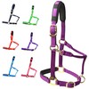 T TEKE Adjustable Horse Halters by Heavy Duty Soft Nylon,