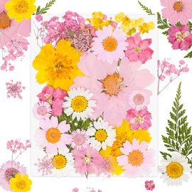 30Pcs Dried Pressed Flowers Bulk Dried Flowers for Crafts, Dry Flowers for Resin Molds DIY Scrapbooking Candle Jewellery Making (Pink)