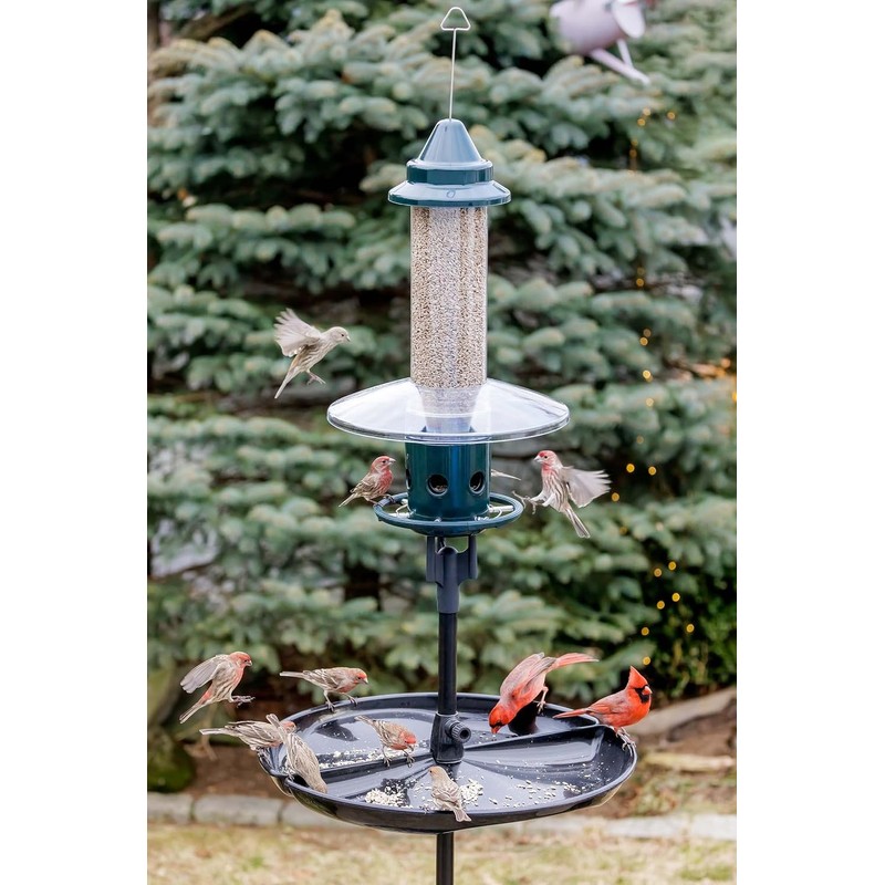 Squirrel Buster Plus Squirrel-proof Bird Feeder w/Cardinal Ring and 6