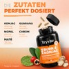 Tryvite Konjac Active — Plant Complex with Konjac, Nopal, Mate,