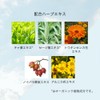 ra・kasuta aromaesute Protect & ripea Hair Cream