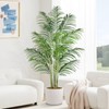 Keeplush 6ft Tall Fake Palm Tree with 18 Trunks and