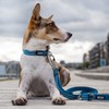 DOG Copenhagen Urban Freestyle Leash, Ocean Blue, Size L