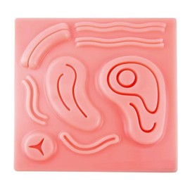 ZUFOR Silicone Laparoscopic Suture Simulation Pad for Suture Training to Medical Student Doctor Nurse Teaching,Laparoscopic Suture Pad