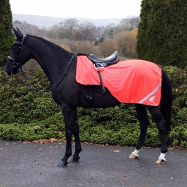 Masta Hi Viz Mesh Exercise Sheet - High-Visibility, Breathable, Summer Horse Safety Gear with Reflective Strips for Roadwork XFULL Orange