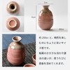 Setomonohonpo Stylish Sake Bottle Set with 10 Colors to Choose