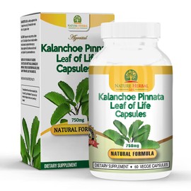 Nature Herbal Life Kalanchoe Pinnata-Leaf of Life (Bryophyllum Pinnatum)Lao Di Sheng Gen, Capsules. 1 Bottle-750mg, 60 Count (Pack of 1)