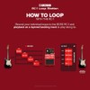 BOSS Boss RC-1 Loop Station
