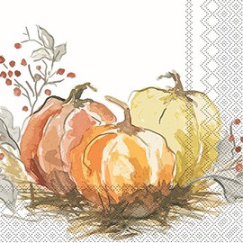 IHR Ideal Home Range Party Napkins Disposable 3-Ply Paper Lunch Napkin Pack, 6.5" x 6.5", Painted Pumpkin, 20-Count
