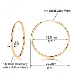 14k Yellow Gold Endless Hoop Earrings 20x1.0mm