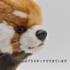 BH6301 HANSA Lesser Panda 61