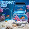 Novique Beach Aquarium Kit Clear Portable Plastic Fish Tank Catch