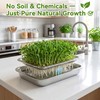2 Pcs Stainless Steel Seed Sprouting Trays with Towel &