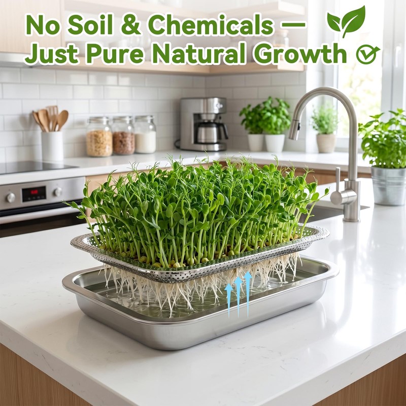 2 Pcs Stainless Steel Seed Sprouting Trays with Towel &