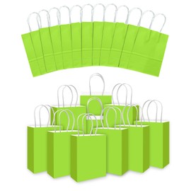 qiqee 24PCS Small Gift Bag with Handles Bulk 8.3"x6"x3" Gift Bags Plum Green Bags Multiple Uses (Small Size)