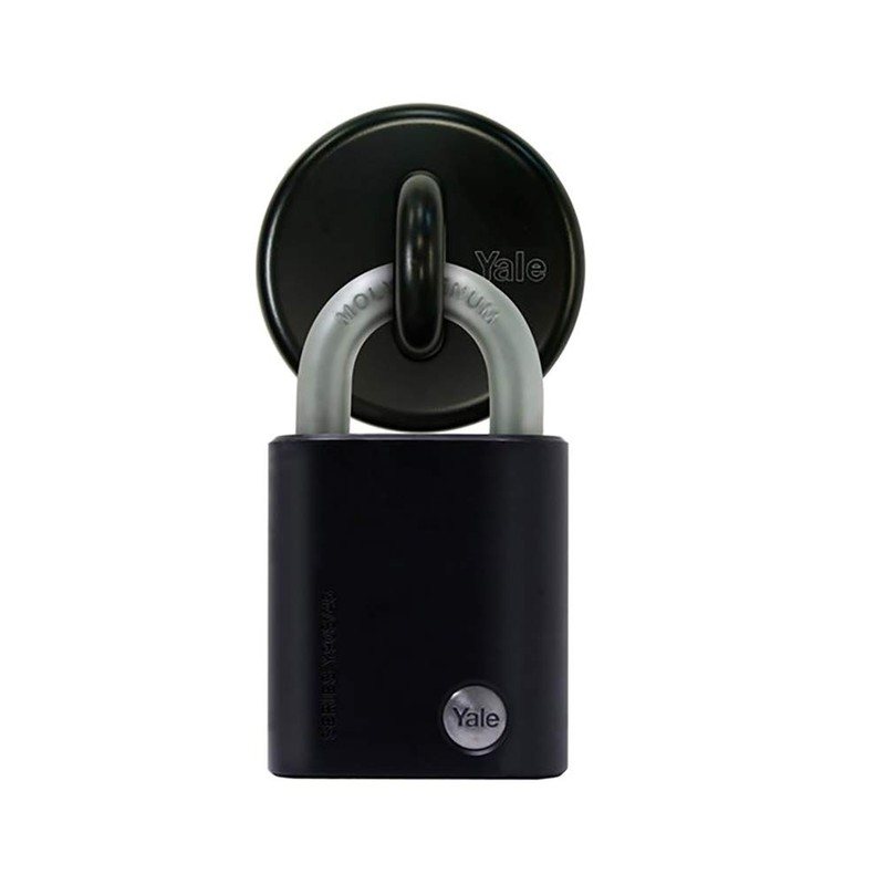 Yale Y730/60/23/1 Steel Anchor, Black, 60mm, Pack of 1, Suitable