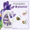 KUXTAL Liquid Laundry Detergent 3-Pack (202.8 fl oz) Biodegradable &