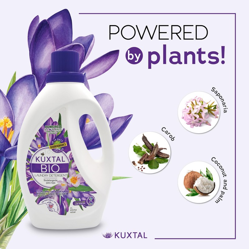 KUXTAL Liquid Laundry Detergent 3-Pack (202.8 fl oz) Biodegradable &