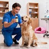 Ajfwm lvermect for Dogs, forDewormex Cats, Suitable for Cats, Dogs,