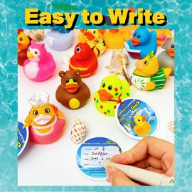 Cruise Ducks 70-Piece Adventure Kit: 20 Assorted Rubber Ducks, 20 Cruise Ship Tags & 30 Bands for Hiding Games, Bath Toys, Pool Fun, or Collectible Decor