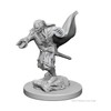 NECA D&D Nolzurs Marvelous Unpainted Miniatures: Wave 1: Vampiros