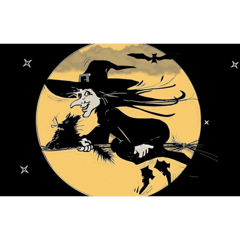 CafePress Wicked Witch Sticker Rectangle Bumper Sticker Car Decal