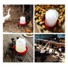 YOUNAFEN Poultry Water Feeder Simple Structure Water Containers Drinkers for