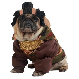 California Costumes Pity The Bull Dog Costumes, Pet, Black, Medium