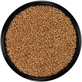 Whole Wheat (20 lbs.)
