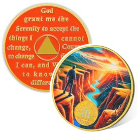 Canyon of Strength 2 Year Sobriety Coin, Affirmation AA Chips, Addiction Recovery Two Years Sober Medallions, Celebrating Anniversary Token, Alcoholics Anonymous Sobriety Gifts for Men Women