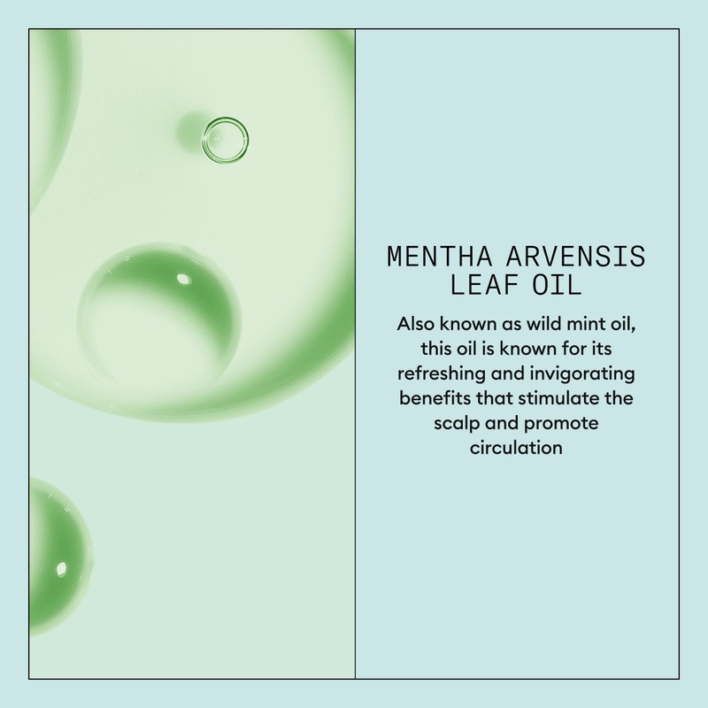 Nioxin Scalp Recovery System Purifying Shampoo 200ml