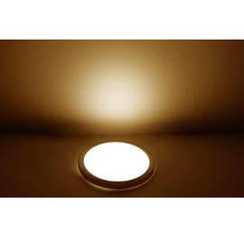 Dream lighting RV Light Interior 12 Volt LED Panel Ceiling Light Warm White 800 Lumens, Surface Mount, 8.5 inch