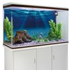 AWERT 72x24 inches Ocean Floor Aquarium Background Undersea Theme Aquarium