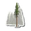 Earth Sky + Water - Coastal Redwood - 3.5″ Sticker