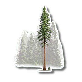 Earth Sky + Water - Coastal Redwood - 3.5″ Sticker