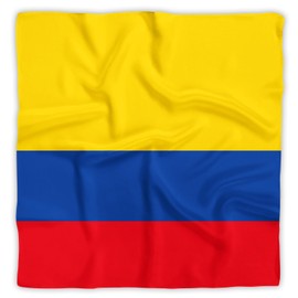 Dsiflylife Colombian Flag Silk Scarfs Women's Fashion Square Silk Scarf for Hair, Square Silk Hair Wrap for Women Hand Rolling Edge