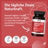 Casida® Ashwagandha Capsules KSM-66® Plus Magnesium, Zinc and Vitamin B6