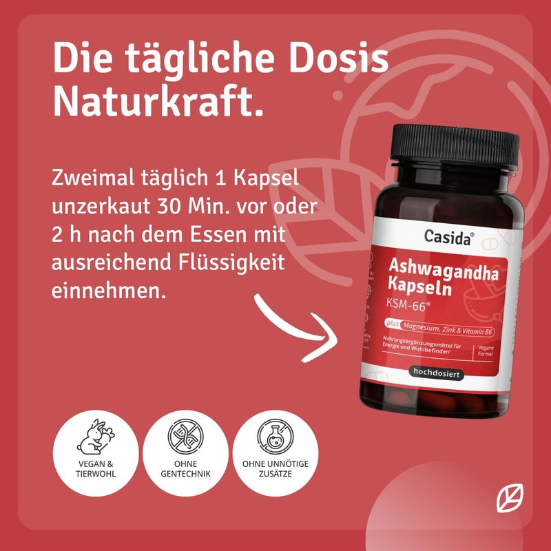 Casida® Ashwagandha Capsules KSM-66® Plus Magnesium, Zinc and Vitamin B6